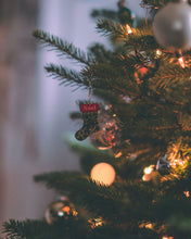 Lade das Bild in den Galerie-Viewer, Samstag, den 6.12.2025 Online Live-Cooking um 13:00 - Entspannte Weihnachtsfeier! Backofen-Menü mit Frau Bunt kocht!