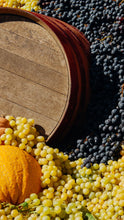 Lade das Bild in den Galerie-Viewer, Samstag, den 1.11.2025 Online Live-Cooking um 18:00 - Benvenuti in Garfagnana! Meine Geburtstagsreise mit Frau Bunt kocht!
