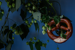 Samstag, den 20.9.2025 Online Live-Cooking um 17:00 - Echtes Wiesn-Feeling zum kleinen Preis! Oktoberfest Sause mit Frau Bunt kocht!