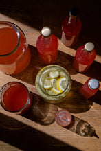 Lade das Bild in den Galerie-Viewer, Sonntag, den 21.9.2025 Online Live-Cooking um 18:00 - Fermentation! Natürliche Probiotika selbst gemacht mit Frau Bunt kocht
