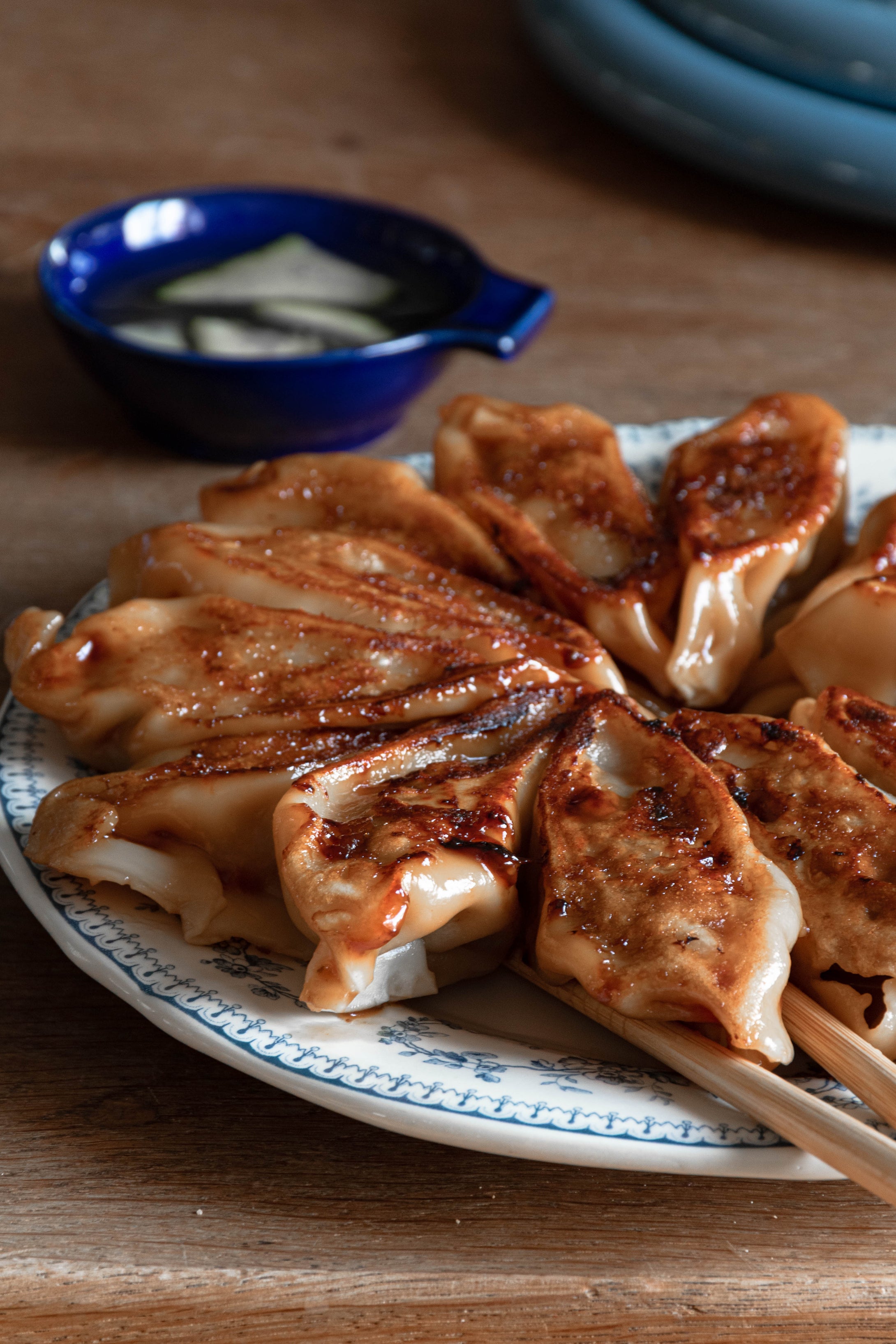 Sonntag, den 01.02.2025 Online Live-Cooking um 17:00 - Gyoza & Wan-Tan! Asiatische Teigtaschen mit Nudelblätter-Trick mit Frau Bunt kocht!